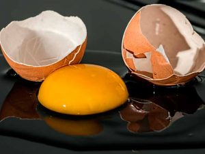Alimentación - Yema de huevo