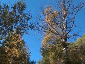 Sierra Espuña en OTOÑO