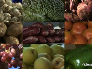 Diferencias en nutrientes: Vitaminas