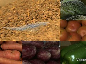 Menos agua y más nutrientes