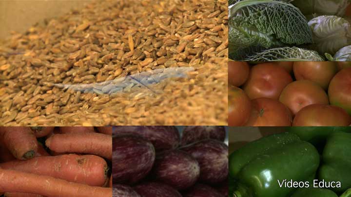 Menos agua y más nutrientes