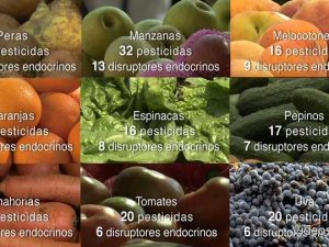 Pesticidas, tóxicos hormonales. Veneno invisible