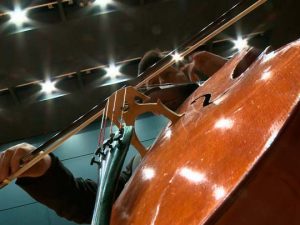J. Haydn - Saravasti. Quintas - I. Allegro