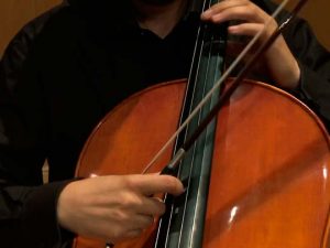 Instrumentos de cuerda frotada. TÉCNICAS-3