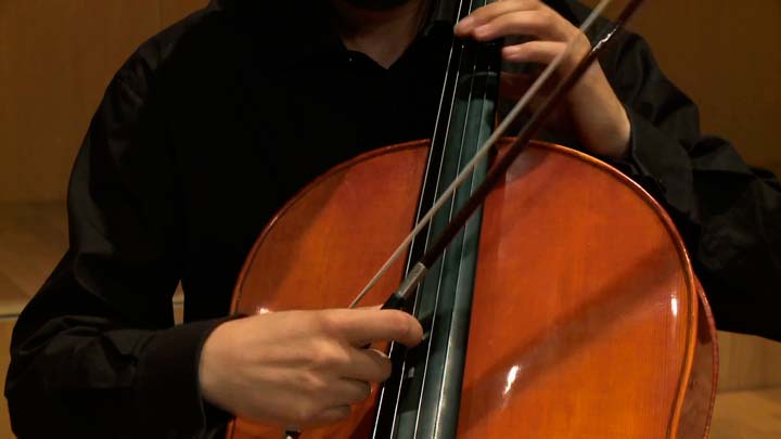 Instrumentos de cuerda frotada. TÉCNICAS-3