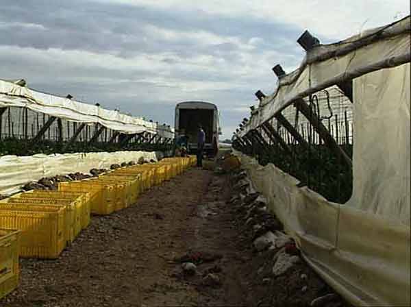 Cambios en las técnicas de riego