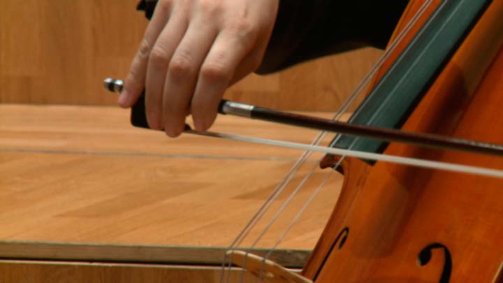 Mozart-Saravasti: Cuarteto de la primavera IV. Molto allegro - Imagen 2