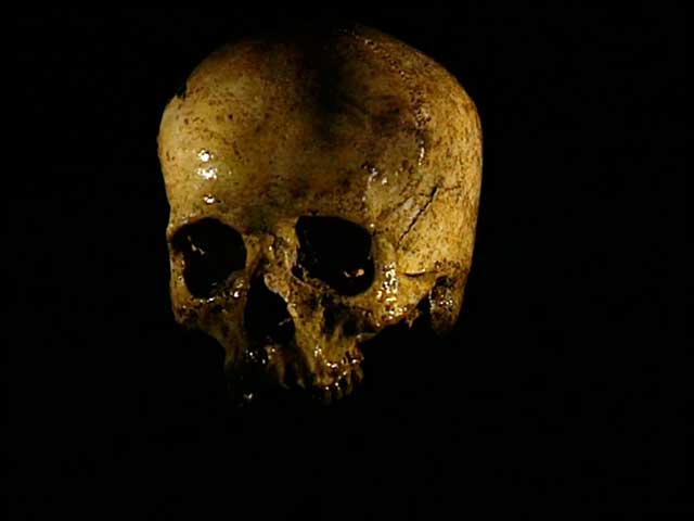 Nuestros orígenes. Tierra de nadie - Imagen 2
