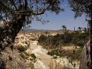 Río Chícamo