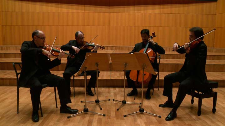 F. Schubert–Saravasti. Cuarteto nº 4 en Do Mayor D46 - Imagen 2