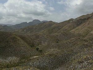 Sierras prelitorales. La tortuga mora