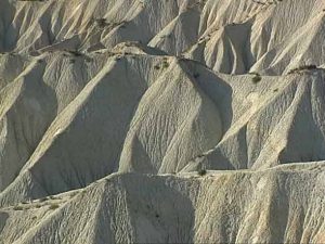 Tierras áridas