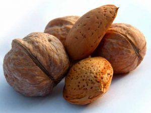 El fósforo abunda en os frutos secos