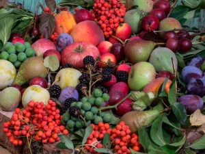 Frutas-y-bayas-diversidad_900x587 Frutas-y-bayas-diversidad_900x587