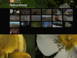 Licencia NATURALEZA