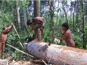 Yanomami