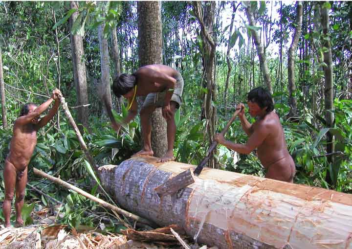 Yanomami