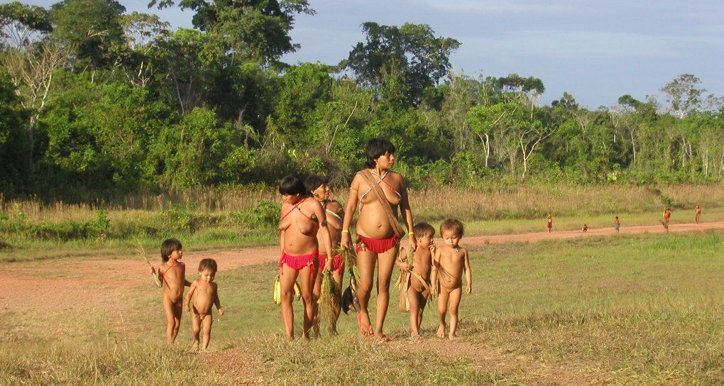 Yanomami en Brasil